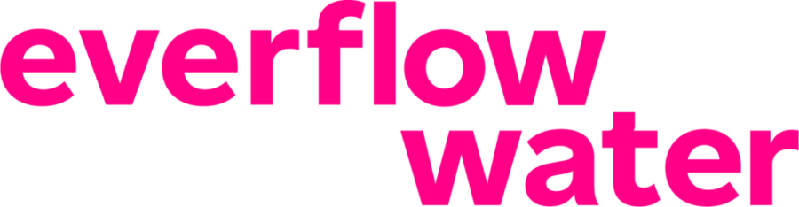 Everflow Logo Magenta